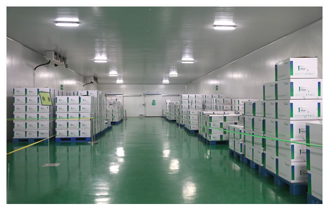成品冷藏庫內景