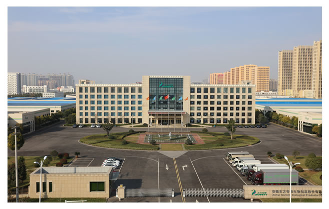 安徽東方帝維生產基地