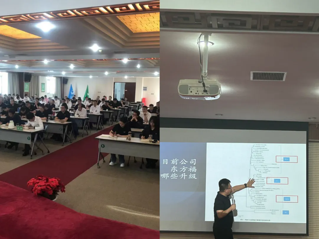 1732589159361592.png 640.webp (2).png