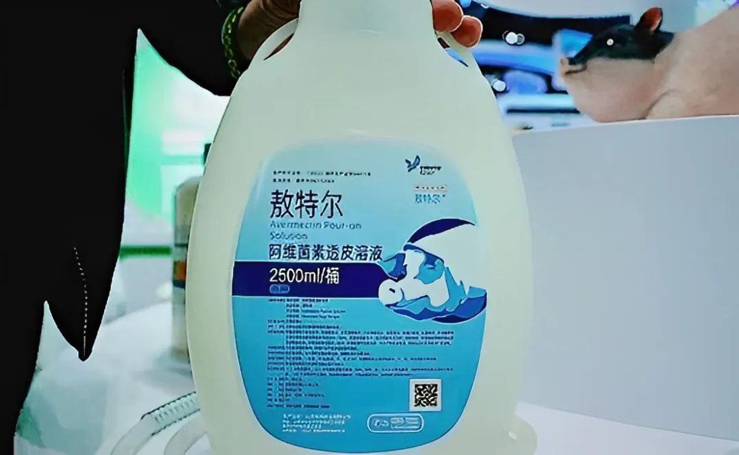 1732591655245560.jpg 640 (1).jpg